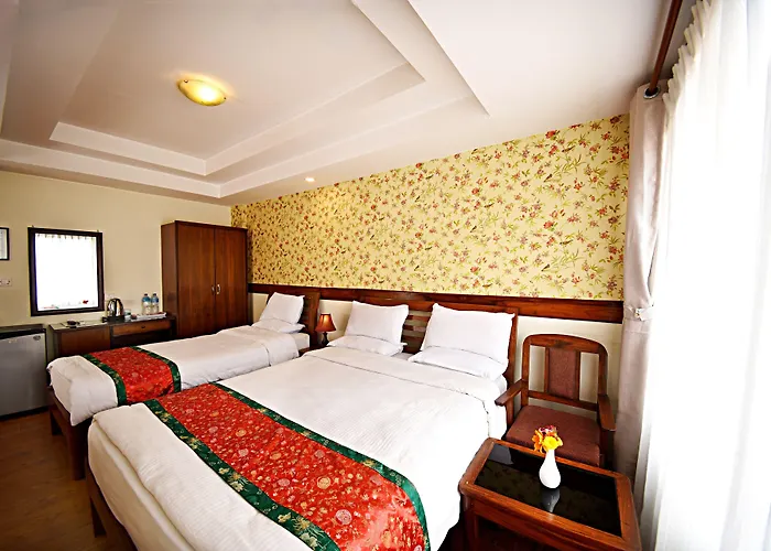 Hotel Friends 3*